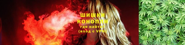 ПСИЛОЦИБИНОВЫЕ ГРИБЫ Белоозёрский