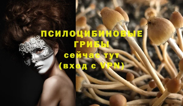 дживик Балабаново